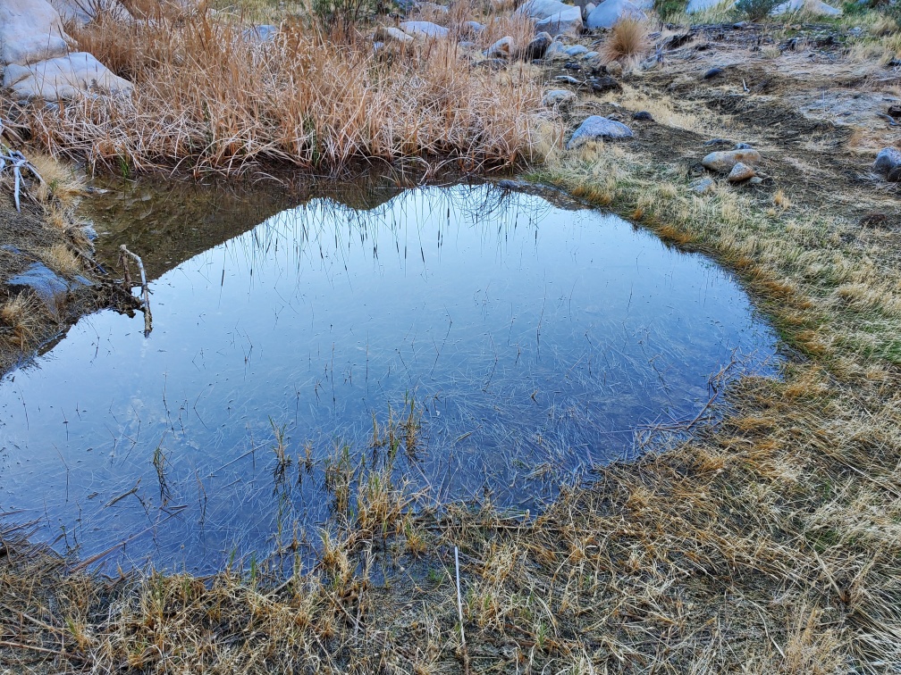 DT-035-2022-03-08.Good water in Carizzo Gorge just after Goat Canyon